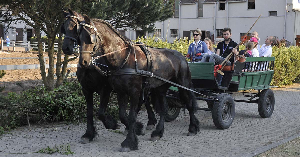 Zespolakowy Dzień Dziecka 2018